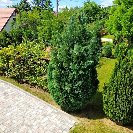 Csaladbarat A Badacsony Hegy Labanal Bl15 בית נופש *